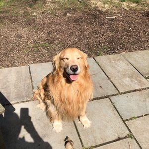 Meet your Posher, Christopher